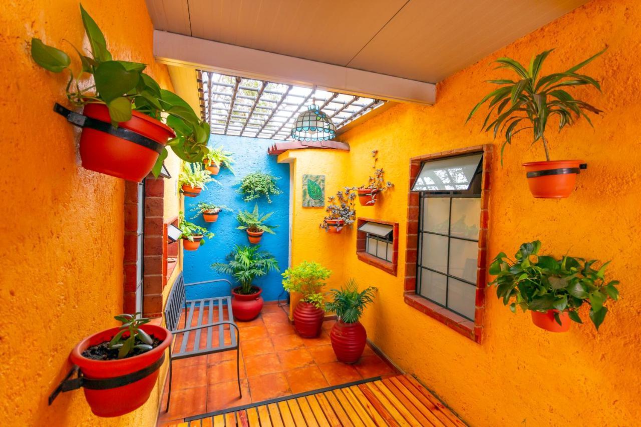 Mex Suites Casa Azul B&B Ciudad de México Exteriér fotografie