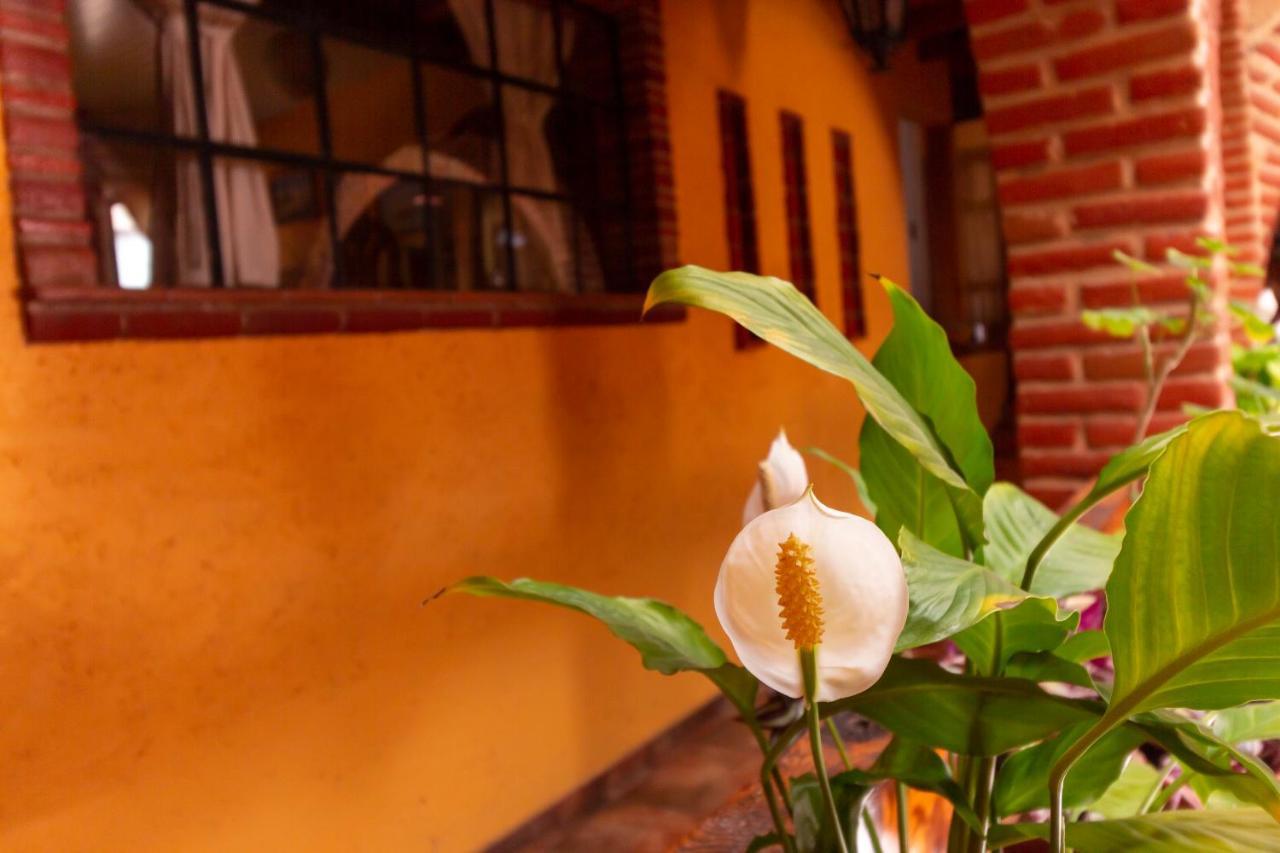 Mex Suites Casa Azul B&B Ciudad de México Exteriér fotografie